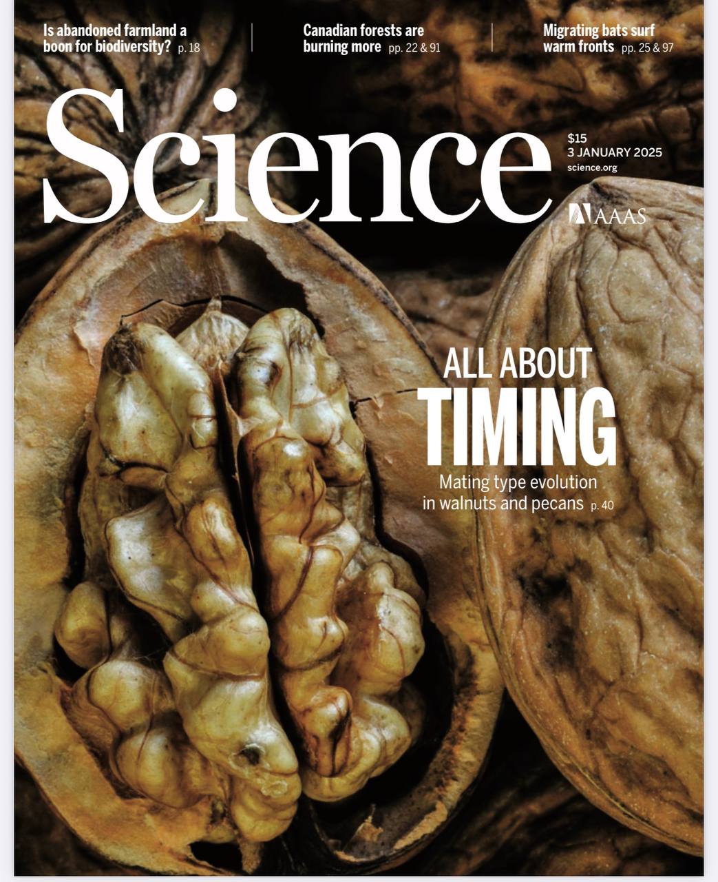 科学Science期刊杂志 永久订阅
